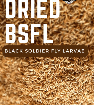 dried bsf larvae