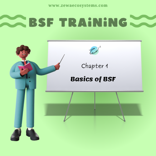 BSF Training Program
