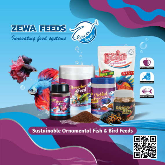 Zewa Feeds Product page