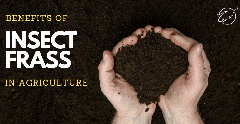 Benefits of Insect frass in agriculture
